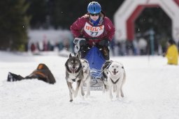 Lenzerheide 2013